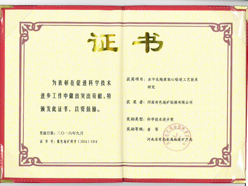 科技進(jìn)步一等獎(jiǎng)